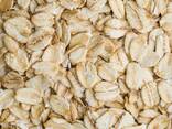 Healthy Instant Oat Flakes Dried Breakfast Oats Large Stock Fast Shipping - photo 1