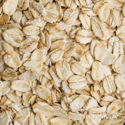 Healthy Instant Oat Flakes Dried Breakfast Oats Large Stock Fast Shipping