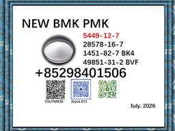 BMK CAS 5449-12-7 with PMK CAS 28578-16-7/1451-82-7 and 49851-31-2 in stock