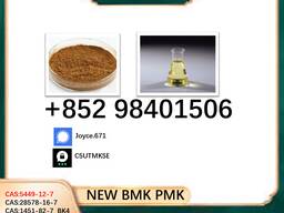 Cas 28578-16-7 BK4 5449-12-7 BMK PMK 49851-31-2 BVF honest supplier 1451-82-7 hot sale