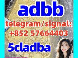 5cl-adb Powder 5cl Adb 5cl 5cladba 5cl Raw Materials cas 137350-66-4
