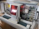 Abbott Cell-Dynn Ruby - photo 3