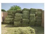 Готовый запас высококачественных сухих тюков тимофеевого сена для кормления крупного рогатого скота, свиней и лошадей - фото 1