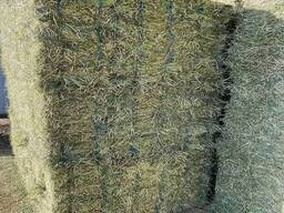 Готовый запас высококачественных сухих тюков тимофеевого сена для кормления крупного рогатого скота, свиней и лошадей