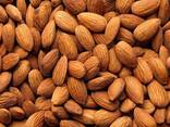Sell Cashew Nuts, Walnuts, Betel Nuts, Macadamia Nuts, Almond Nuts - photo 2