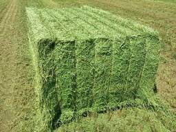 Animal feed available