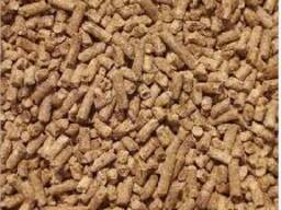 Protein-Packed Feed Blends - Designed for Performance &amp; Health