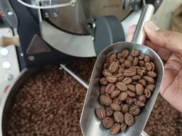 Зерна кофе Arabica и Robusta