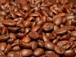 Best Price Roasted Arabica Coffee Bean From Vietnam - photo 1