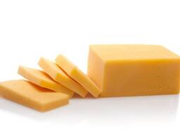 Best quality cheddar cheese