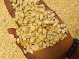 Best Quality Non Gmo white Maize for human consumption For sale whatsapp - photo 1