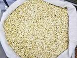 Best Quality Non Gmo white Maize for human consumption For sale whatsapp - photo 3