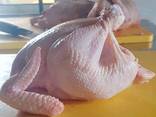 Brazilian quality halal frozen whole chicken and parts / gi - photo 1