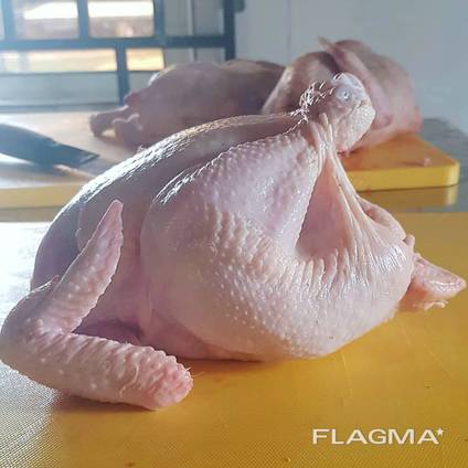 Brazilian quality halal frozen whole chicken and parts / gi