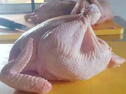 Brazilian quality halal frozen whole chicken and parts / gi