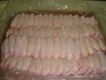 Brazilian quality halal frozen whole chicken and parts / gi - photo 4
