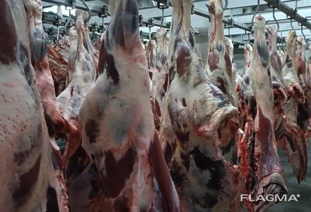 Buffalo Meat (Halal), Sheep Tail Fat