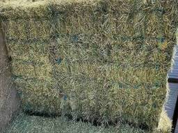 Bulk supply Alfalfa Hay wholesale discount price fast delivery cheap stock supplier