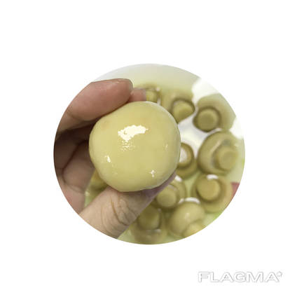 Canned mushroom whole 425g in brine