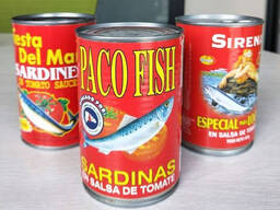 Canned Sardines