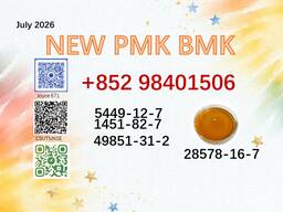 CAS 5449-12-7 BMK CAS 28578-16-7 channels PMK hot sale