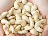 Cashew nut - photo 2