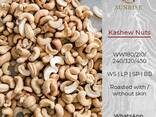 Cashew Nuts from Vietnam - photo 1