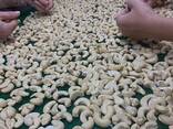 Cashew Nuts from Vietnam - photo 5