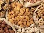 Cashew Nuts/High Quality Cashew Nuts/Buy High Quality Cashew Nuts - photo 1