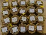 Cassia Stick / Powder from Vietnam - photo 6