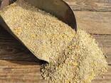 Premium Cattle Feed with Balanced Nutrition - photo 2