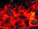 Charcoal for barbecue and restorations - photo 1