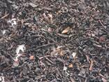 Tea - photo 1