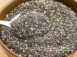 Chia for sale at good price - фото 3