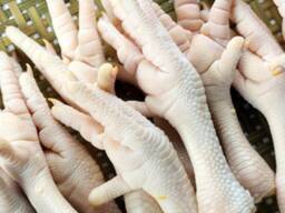 Chicken feet for sale