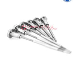 Common Rail Injector Valve F00V C45 206