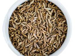 Cumin seed for sale