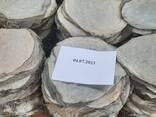 Endocrine Enzyme Raw Materials - photo 1