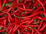 Fresh Cayenne Pepper - photo 1