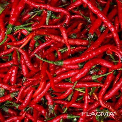Fresh Cayenne Pepper