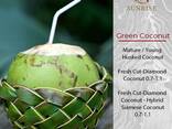 Fresh Coconut from Vietnam - photo 1