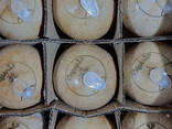Fresh Coconut from Vietnam - photo 5