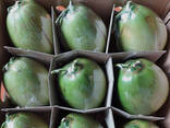 Fresh Coconut from Vietnam - photo 6