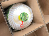 Fresh Coconut from Vietnam - photo 7