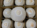 Fresh Coconut from Vietnam - photo 10