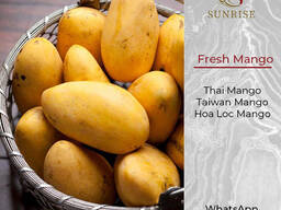 Fresh Mango from Vietnam