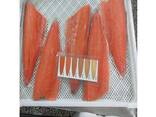 Fresh Salmon Fish / Salmon From Norway - 100% Export Quality - photo 2