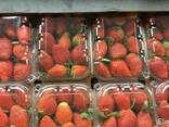 Fresh strawberry - photo 1
