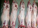 Frozen meat mutton, lamb, beef - photo 2