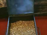 Lingotes y pepitas de oro - foto 1